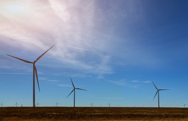 Obraz premium Windmills in the West Texas wind power