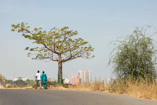 Dakar coastline, beach and vegetation. Dakar. Senegal. West Africa.