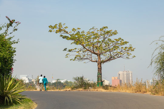 Dakar coastline, beach and vegetation. Dakar. Senegal. West Africa.
