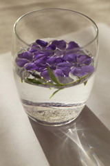 violet periwinkle flowers in a glass with water