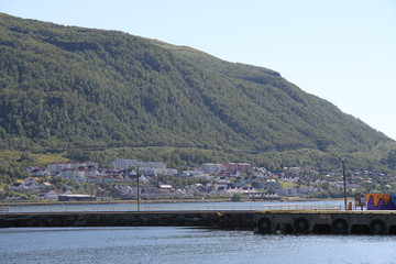 bird birds cormorants tromso tromsø  water travel tourism sea coast nature port blue landscape sky harbor architecture europe boatship mountain summer bay view city beautifull and mark mediterranean 