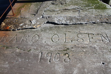 bird birds cormorants tromso tromsø  water travel tourism sea coast nature port blue landscape sky harbor architecture europe boatship mountain summer bay view city beautifull and mark mediterranean 