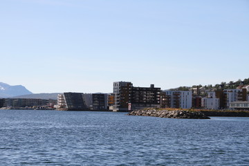 Fototapeta premium bird birds cormorants tromso tromsø water travel tourism sea coast nature port blue landscape sky harbor architecture europe boatship mountain summer bay view city beautifull and mark mediterranean 