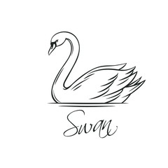 Swans outline icon.