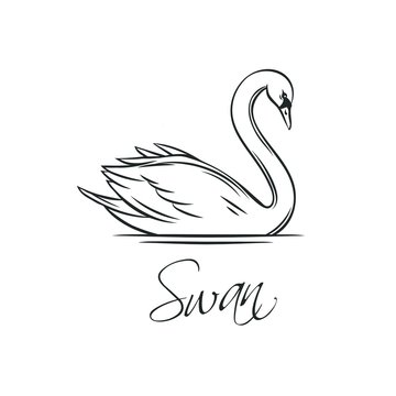 How to Draw a Swan - Really Easy Drawing Tutorial