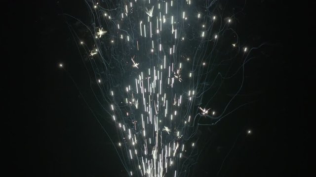 Slow motion shot of fireworks producing an upward shower of sparks against a black background. Commonly known as a gerb, this pyrotechnic is also called a sparkling fountain or waterfall.