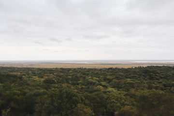 Obraz premium clouds in savannah