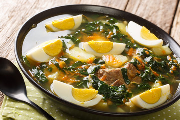 Spring soup of spinach, potatoes, carrots, eggs and meat close-up in a bowl on the table. horizontal