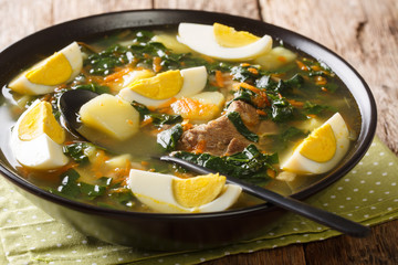 Tasty vegetable soup with spinach and eggs close-up in a bowl. horizontal
