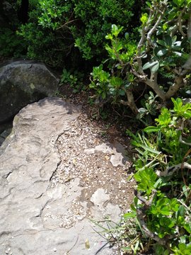 naturaleza en parques y los animales que habitan.