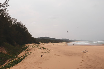 sand dunes and beach