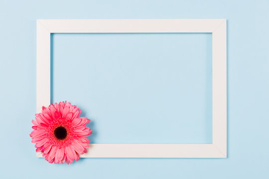 White frame empty blank picture with pink flower in corner on light blue background . Copy space free space for text. Holiday card concept. Mock up. Greeting. Mother's Day. St Valentine's Day. Love . 