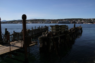 bird birds cormorants tromso tromsø  water travel tourism sea coast nature port blue landscape sky harbor architecture europe boatship mountain summer bay view city beautifull and mark mediterranean v