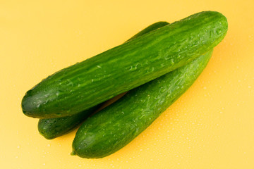
Three cucumbers on a yellow background.
Close-up.