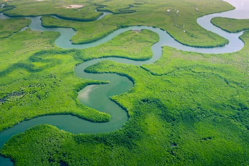 Fotobehang Limoengroen Luchtfoto van Amazone-regenwoud in Brazilië, Zuid-Amerika. Groen bos. Vogelperspectief.