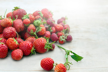 Natural organic food production. Freshly picked juicy strawberries on wooden background. Heap of summer red berries. Homegrown, gardening and agriculture consept. Backlight