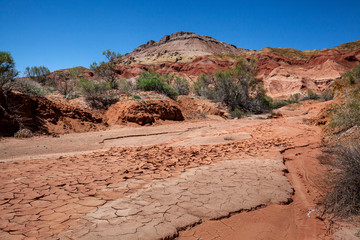 Takyr, a dried-up trace from a past mudflow. Cracked clay soil in the form of shards against the background of colored hills in Kazakhstan.