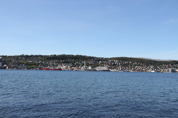 bird birds cormorants tromso tromsø  water travel tourism sea coast nature port blue landscape sky harbor architecture europe boatship mountain summer bay view city beautifull and mark mediterranean v