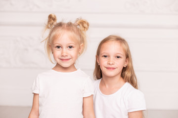 Two little cute sisters pose for a photo standin next to each other. Soft focus
