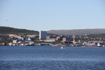 bird birds cormorants tromso tromsø  water travel tourism sea coast nature port blue landscape sky harbor architecture europe boatship mountain summer bay view city beautifull and mark mediterranean v