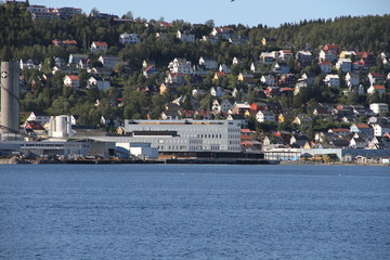 bird birds cormorants tromso tromsø  water travel tourism sea coast nature port blue landscape sky harbor architecture europe boatship mountain summer bay view city beautifull and mark mediterranean v