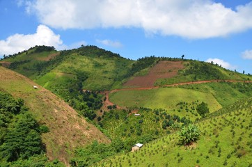 Fototapeta na wymiar landscape with green hills and clouds near Kalaw Myanmar
