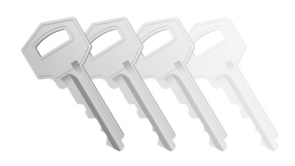 Key in white background. 3D Illustration.