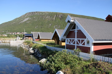 bird birds cormorants tromso tromsø  water travel tourism sea coast nature port blue landscape sky harbor architecture europe boatship mountain summer bay view city beautifull and mark mediterranean v