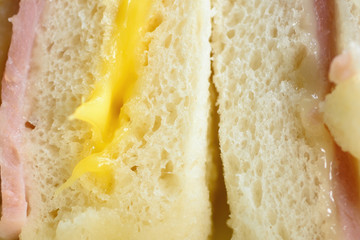 Sandwich ham cheese selective focus and blurred background.