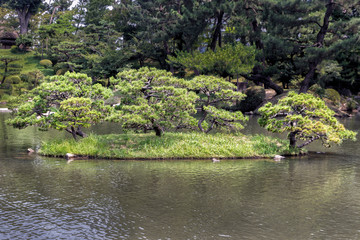 Scene at the Old Shukkeien Garden in Hiroshima, Japan