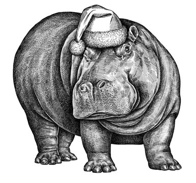 recommend clip art: black and white engrave isolated hippo illustration