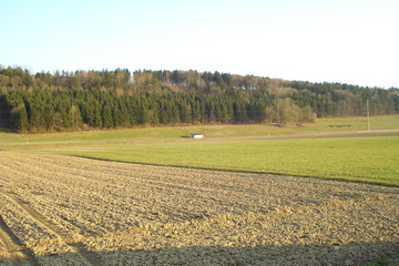 autumn landscape with a field