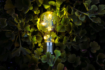 Solar light bulb on dark green background of ginkgo biloba tree. Concept of green energy, creative...
