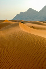 Fototapeta na wymiar Desert de Dubai