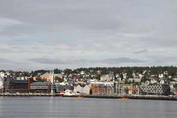 Obraz premium bird birds cormorants tromso tromsø water travel tourism sea coast nature port blue landscape sky harbor architecture europe boatship mountain summer bay view city beautifull and mark mediterranean 