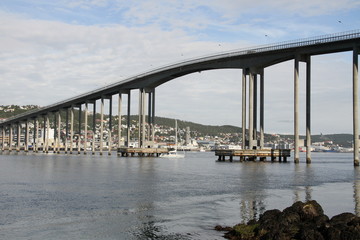 bird birds cormorants tromso tromsø  water travel tourism sea coast nature port blue landscape sky harbor architecture europe boatship mountain summer bay view city beautifull and mark mediterranean 