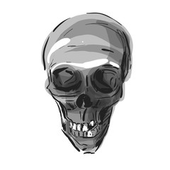 Skull isolated on a white background. Vector skull
