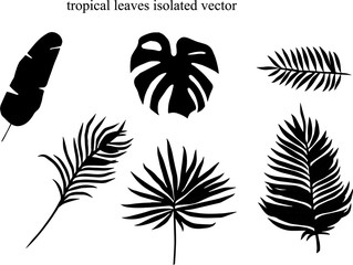 Fototapeta na wymiar set of tropical leaves silhouette