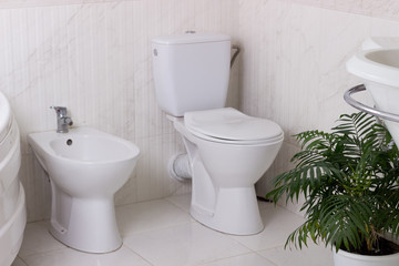 toilet bowl and bidet in the bathroom - obrazy, fototapety, plakaty
