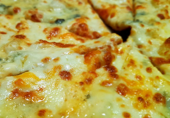 A pieces of four cheese pizza close-up