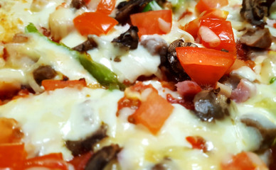 A piece of delux pizza close-up
