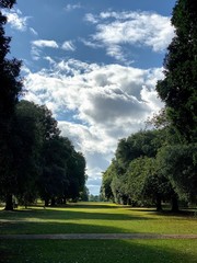 Trees in a park with blue sky and atmospheric clouds