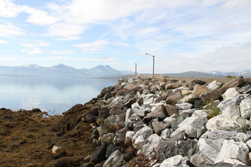 Fototapeta premium rocky coast of the sea