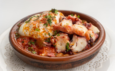 Octopus ratatouille with an egg in a clay pot dish with a white background