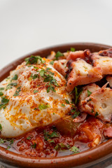 Octopus ratatouille with an egg in a clay pot dish with a white background