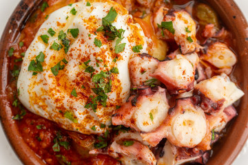 Octopus ratatouille with an egg in a clay pot dish with a white background