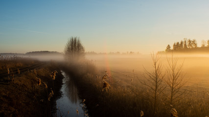 Wschód słońca na strumieniem © Mateusz Czarniecki