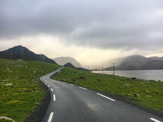 Kręta Norweska droga