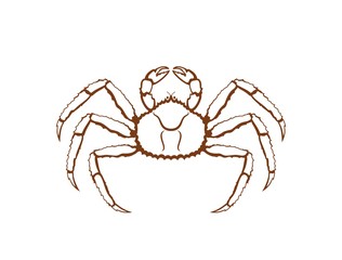 King crab logo. Isolated king crab on white background