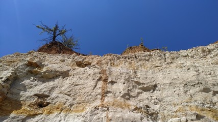 mountain goat on the rock
